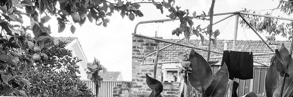 Bernie_101 Profile Banner