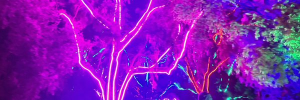 LizzHillSP Profile Banner