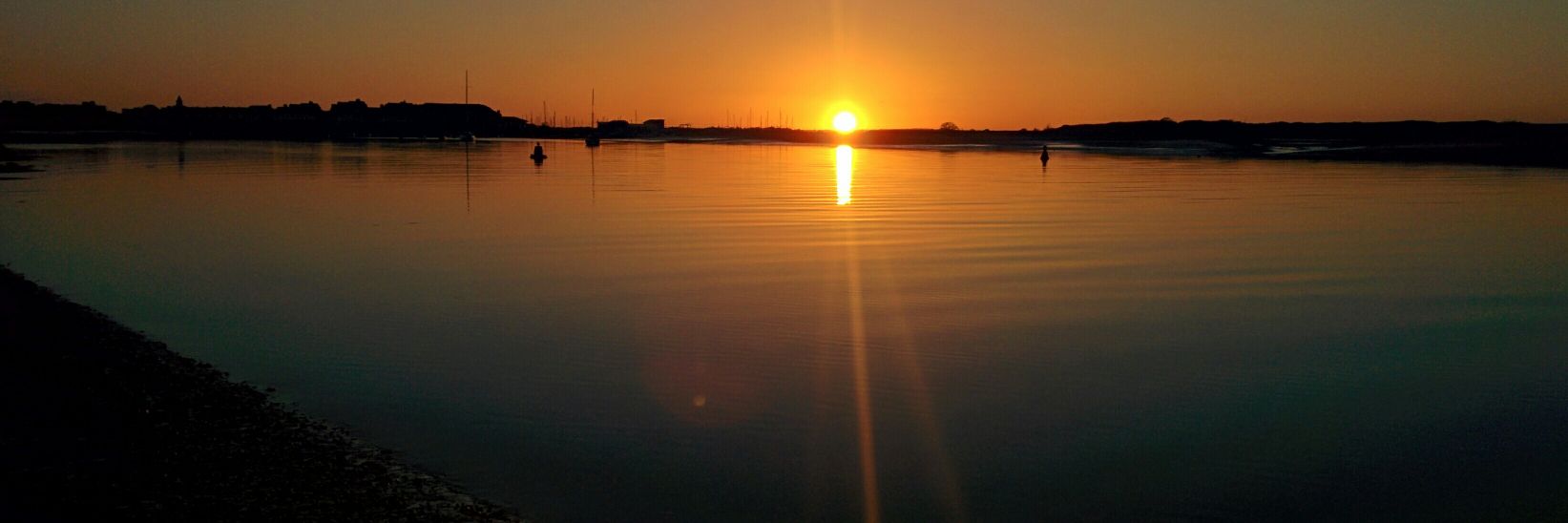 Michael Scriney banner