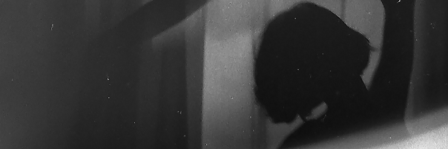 Elisa Duriavig banner