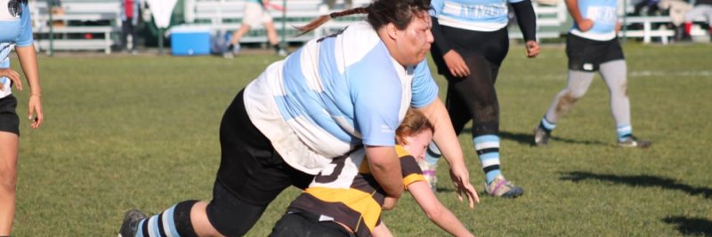 Enema of the State banner