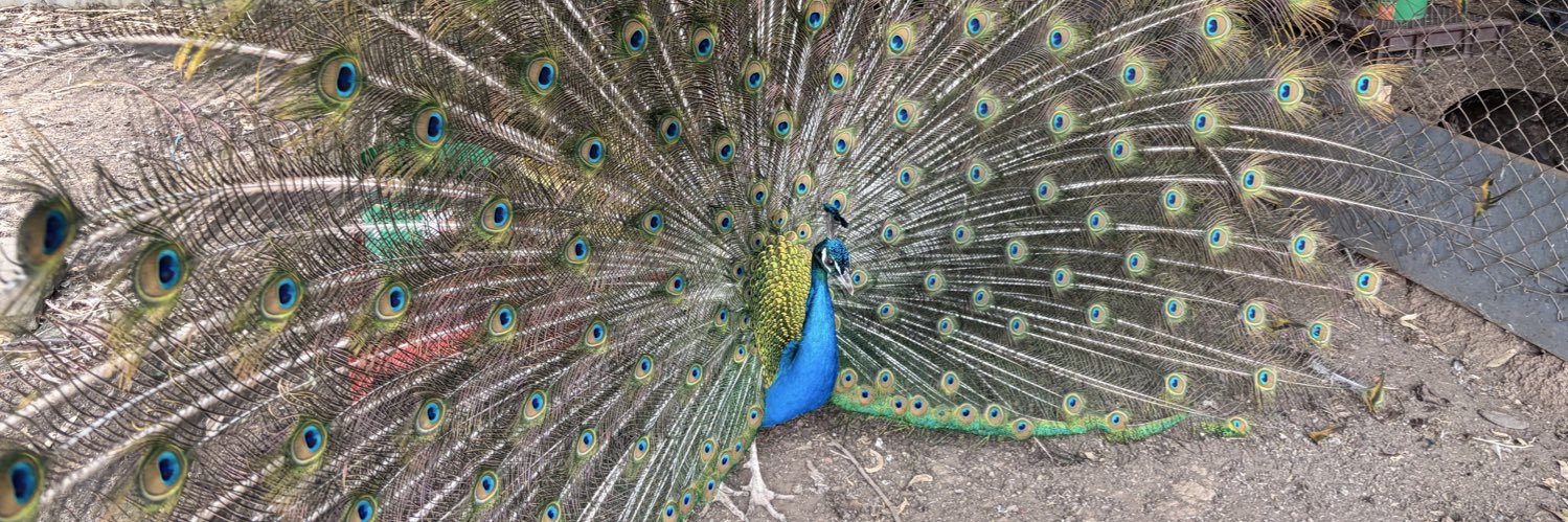 SanuTakesOnWorld banner