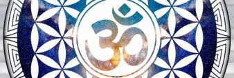 SeanMagna95's profile banner image