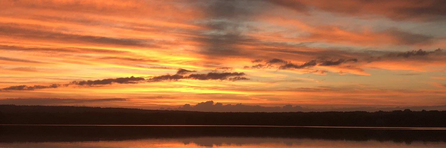 MichiqueBags's profile banner image