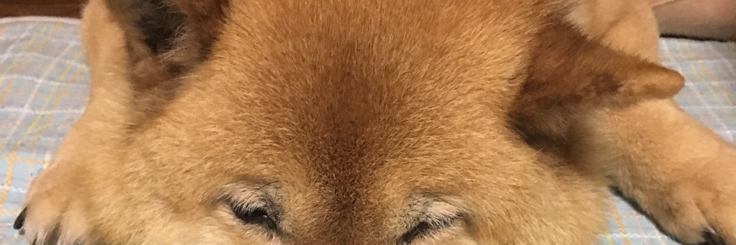 yukidayo129's profile banner image