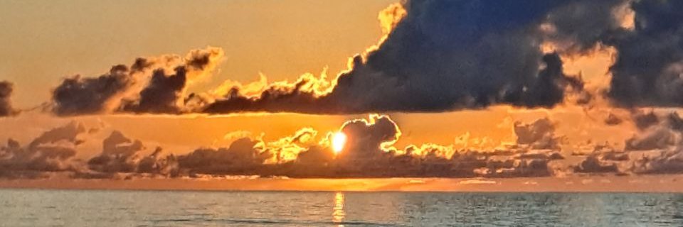 588Mary5's profile banner image