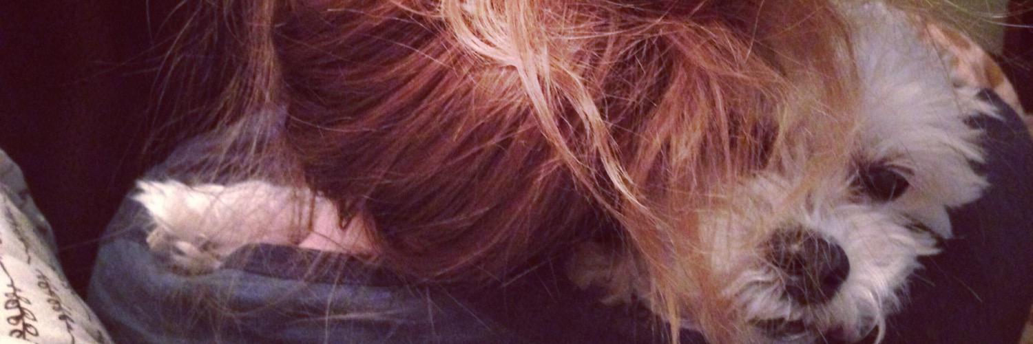 fernster16's profile banner image