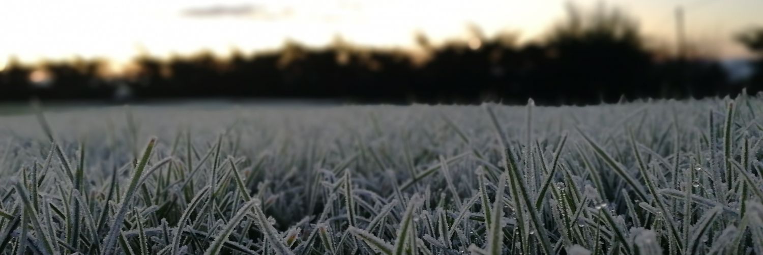 lurch_official's profile banner image