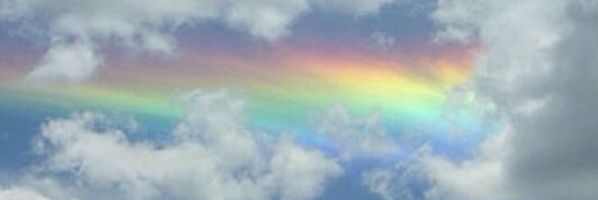 bringmecobain's profile banner image