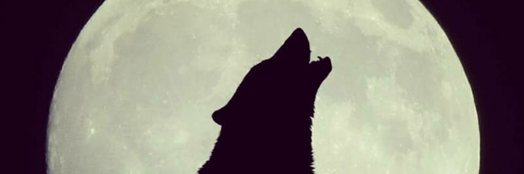 ka___15's profile banner image