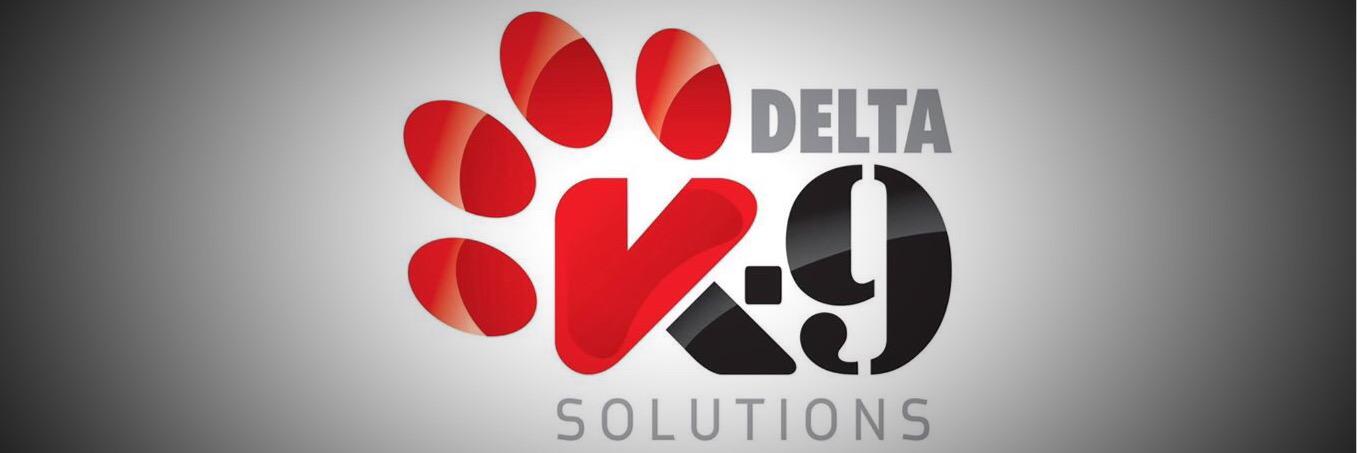 SolutionsDelta's profile banner image