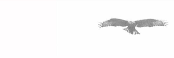 nnoooIdd502's profile banner image