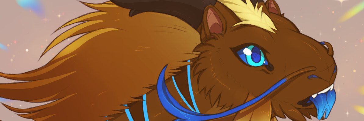 sheinarton's profile banner image