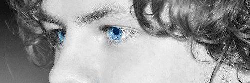 heronpox's profile banner image