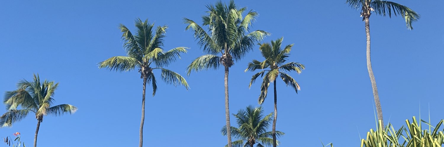 jhdudss's profile banner image