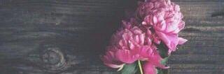 iberoo_1992's profile banner image