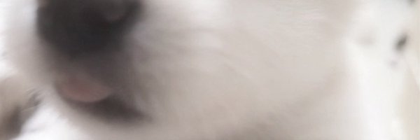 JmswtX16 Profile Banner