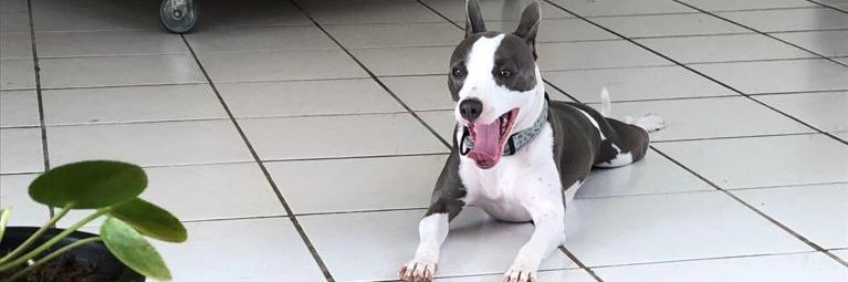 Guzmannn______'s profile banner image