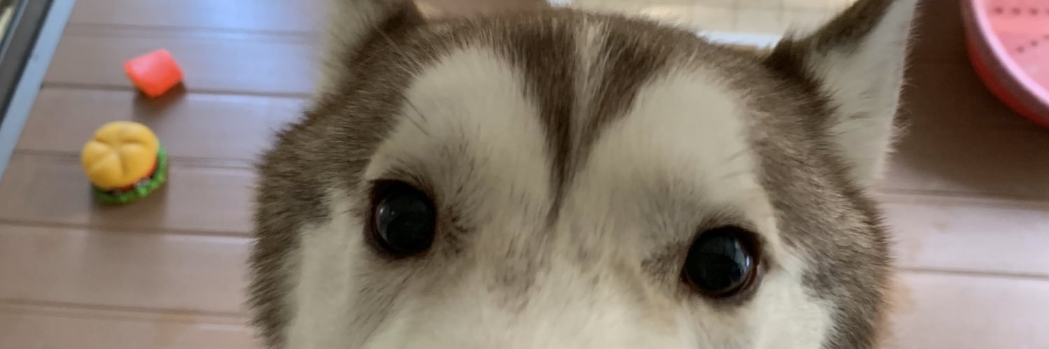 SNIP_fen's profile banner image
