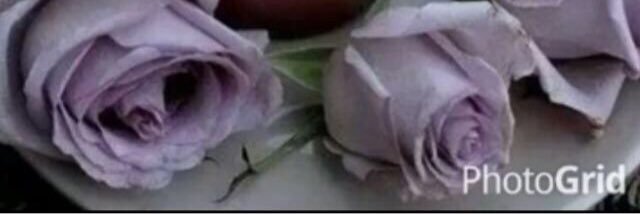 s0s0_860's profile banner image