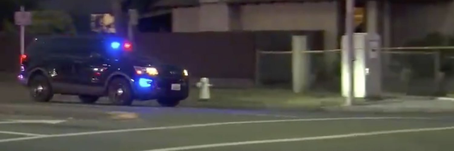 Fearnofelon's profile banner image