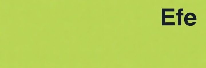 Efeinweb3's profile banner image