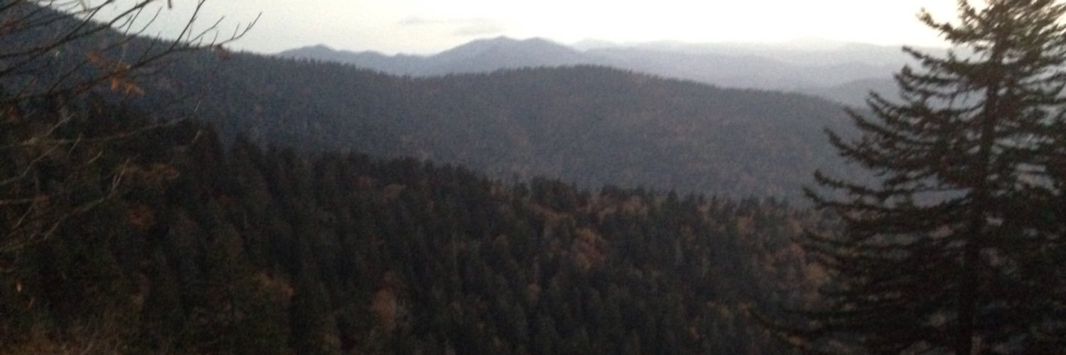 EdgilWill's profile banner image