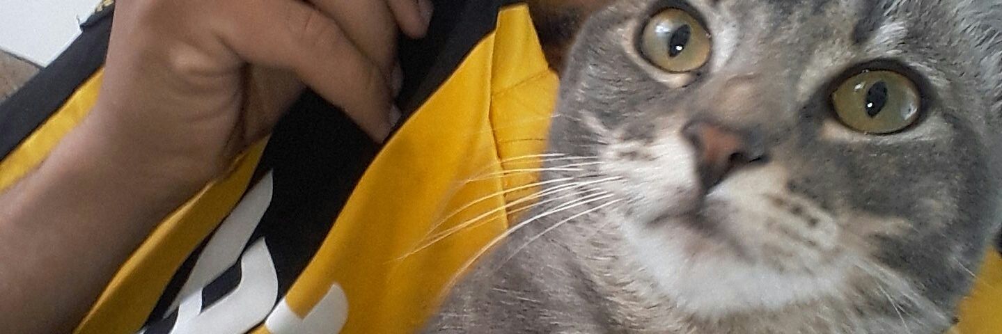 hernanvega09's profile banner image