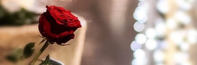amnoof9891's profile banner image