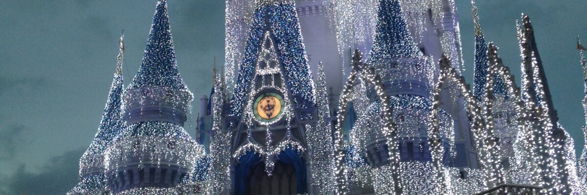 ledurzinha's profile banner image