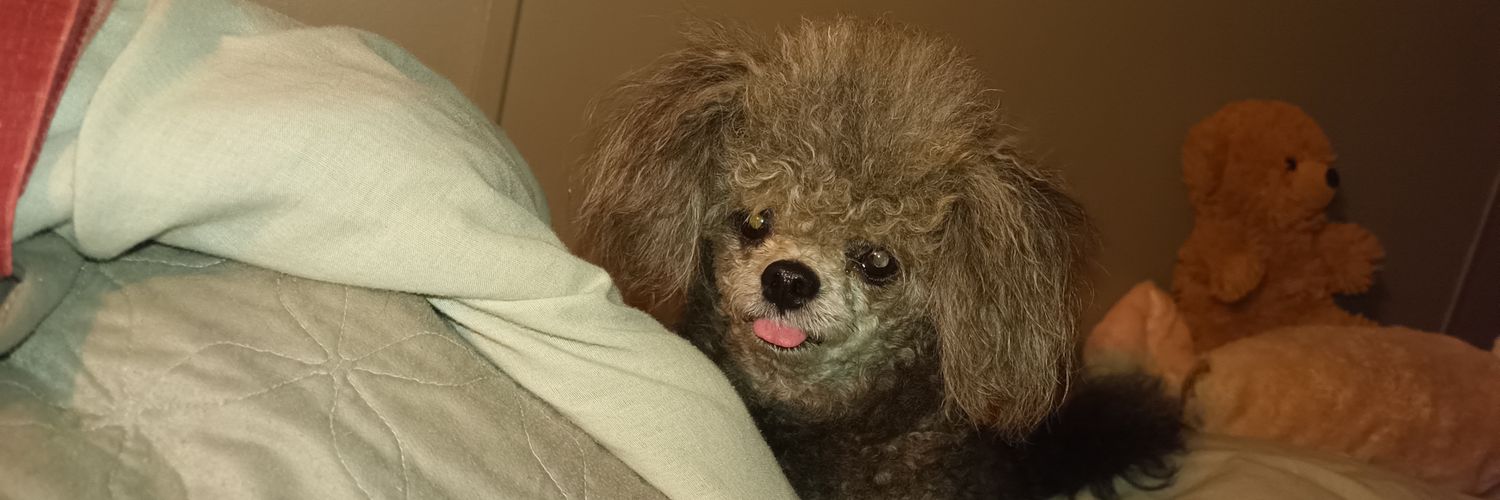 🇺🇸 222remGuy 🇺🇸 banner