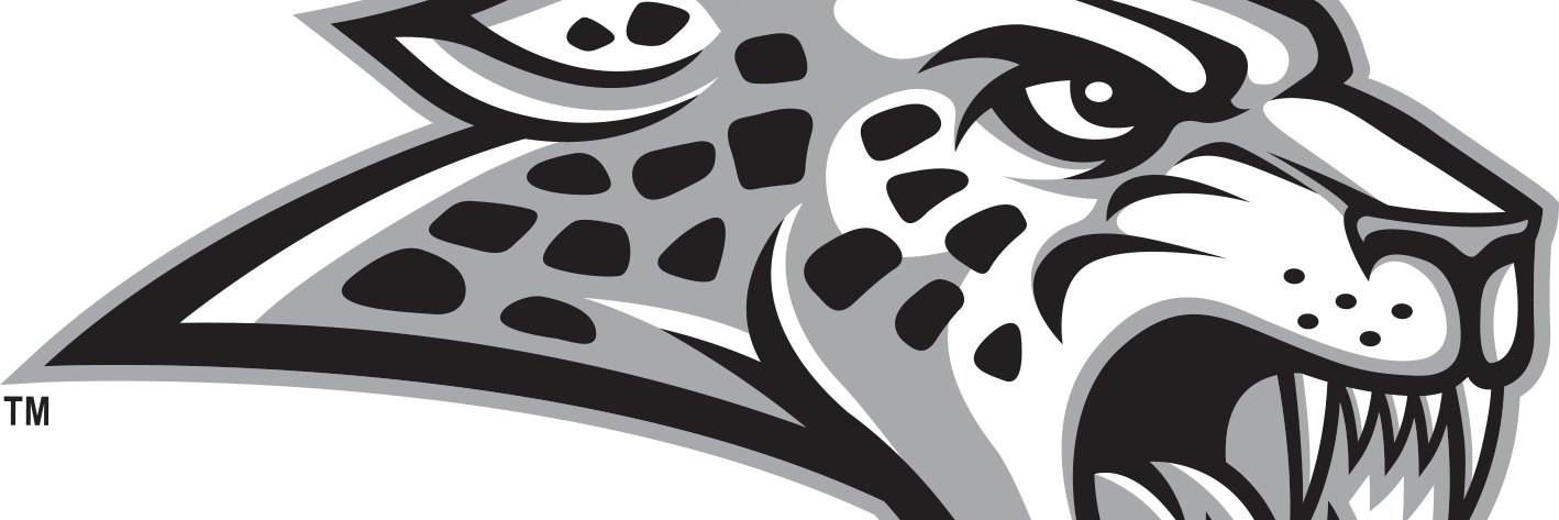 DelgerMatt's profile banner image
