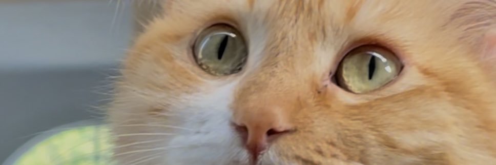 jessgamen's profile banner image