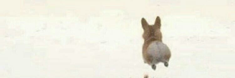baekbylu's profile banner image