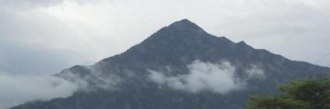 HasleMinyem's profile banner image