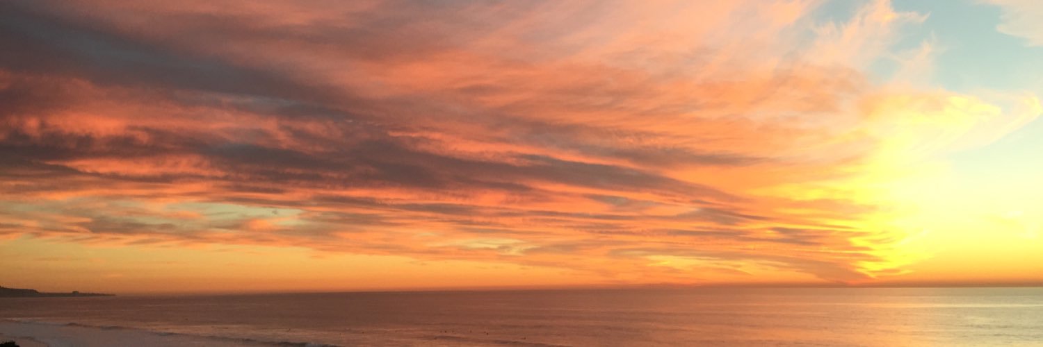 Erin Reid, MD banner