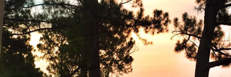 NykThomas6's profile banner image