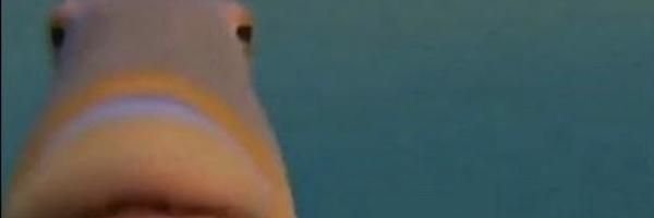 ItsTevi's profile banner image