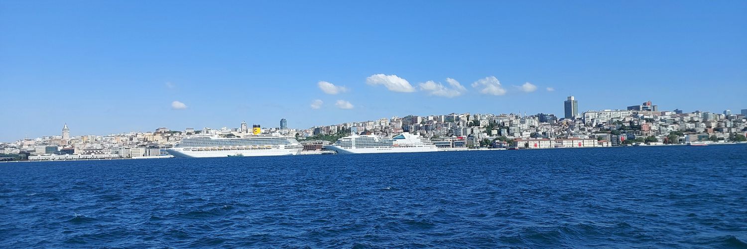 𐱅𐰇𐰼𐰜 𝕏 banner