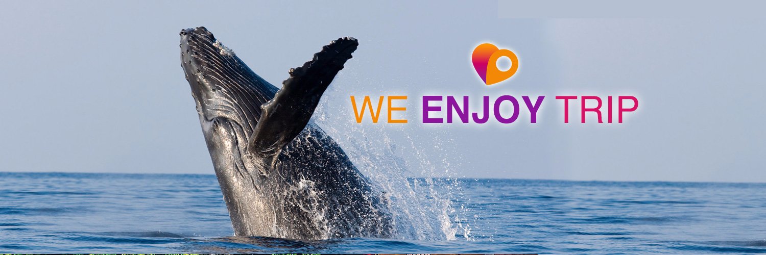 wejoytrip's profile banner image
