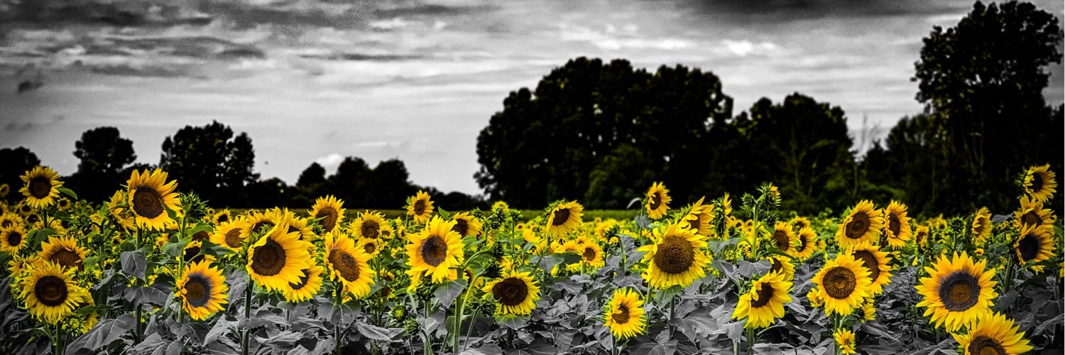 Austin Muratori banner