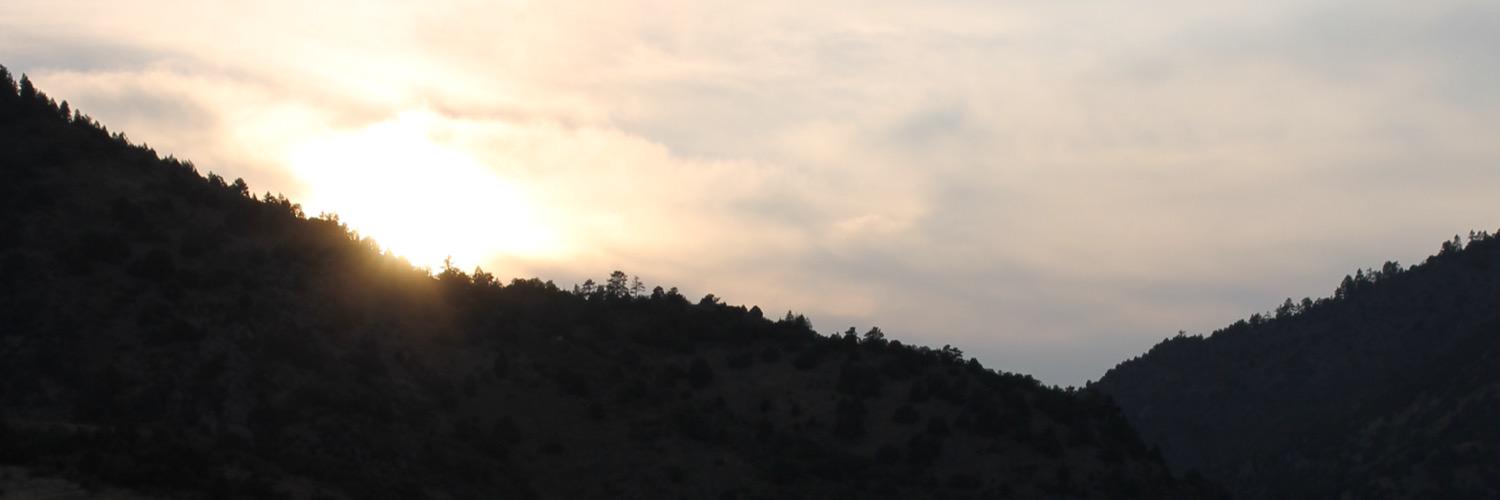 izzyhorses's profile banner image