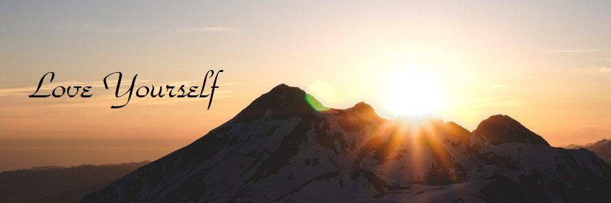 halu8629's profile banner image