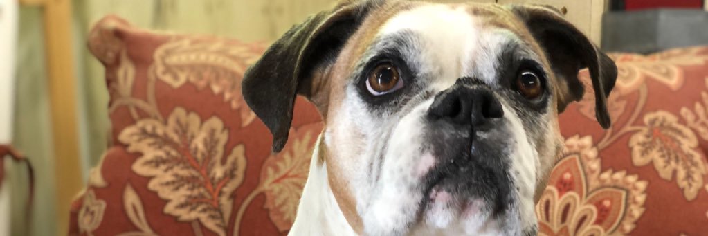 BethBearb's profile banner image
