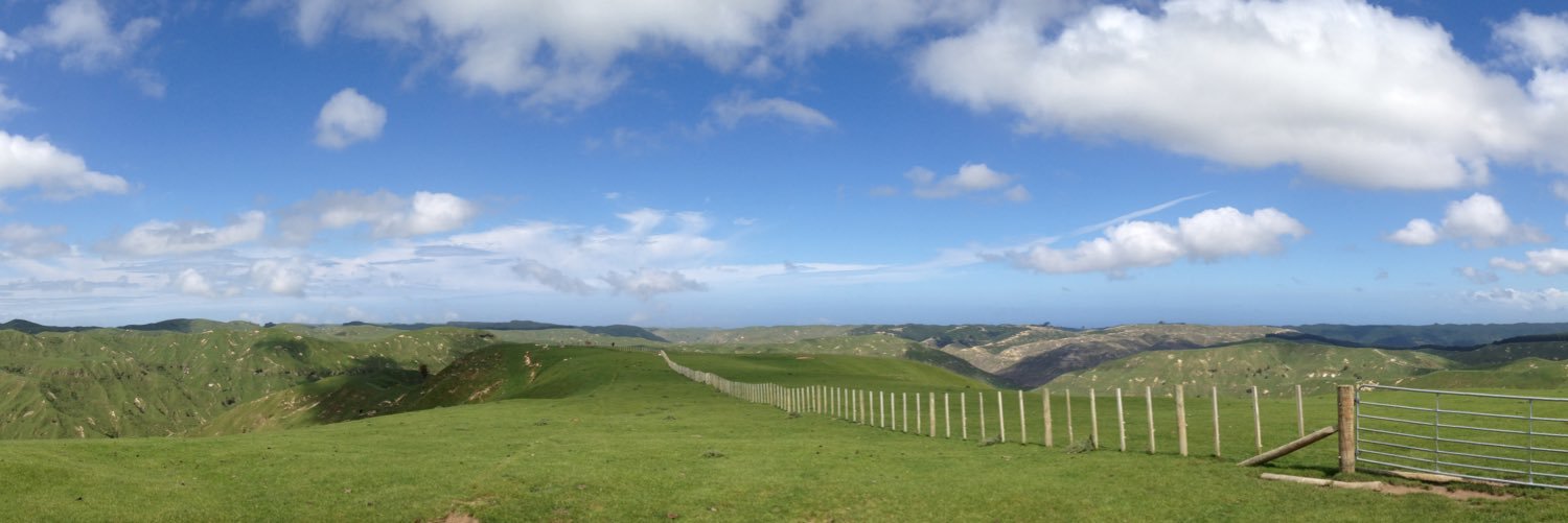 Andrew Hodgkinson banner