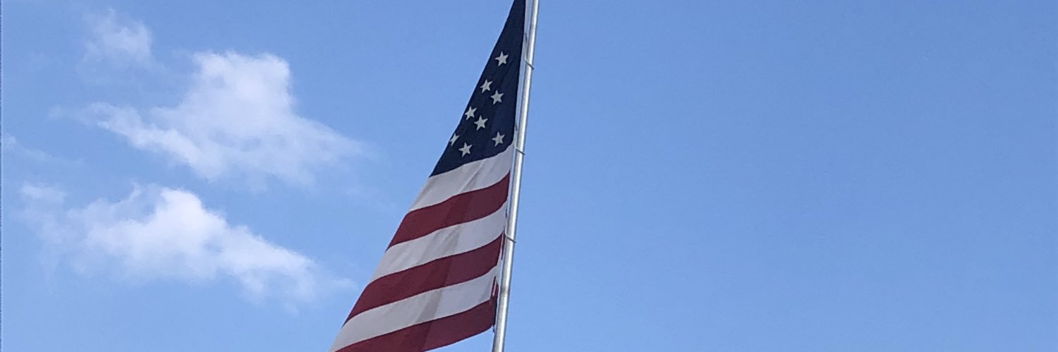 NosalikT's profile banner image