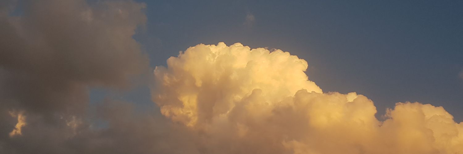 Goldengairl5's profile banner image