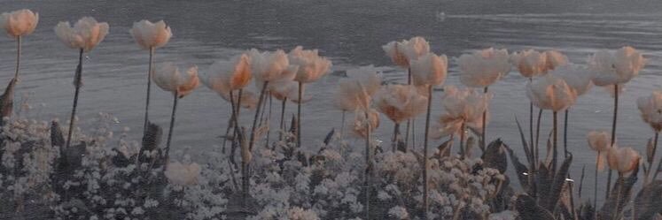 cris_emebe's profile banner image