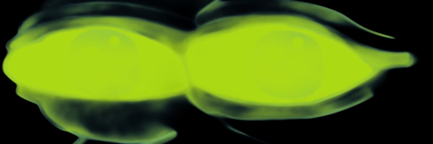 Correct™'s banner