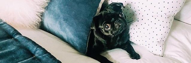 Norma96x's profile banner image